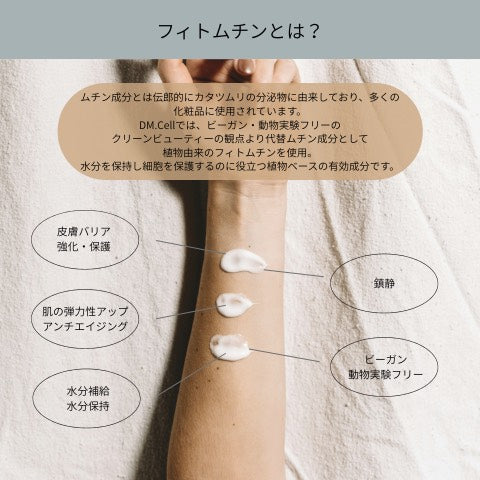 B.T.X.フィトムチンクリーム